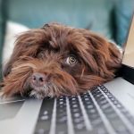 Computer science scholarships